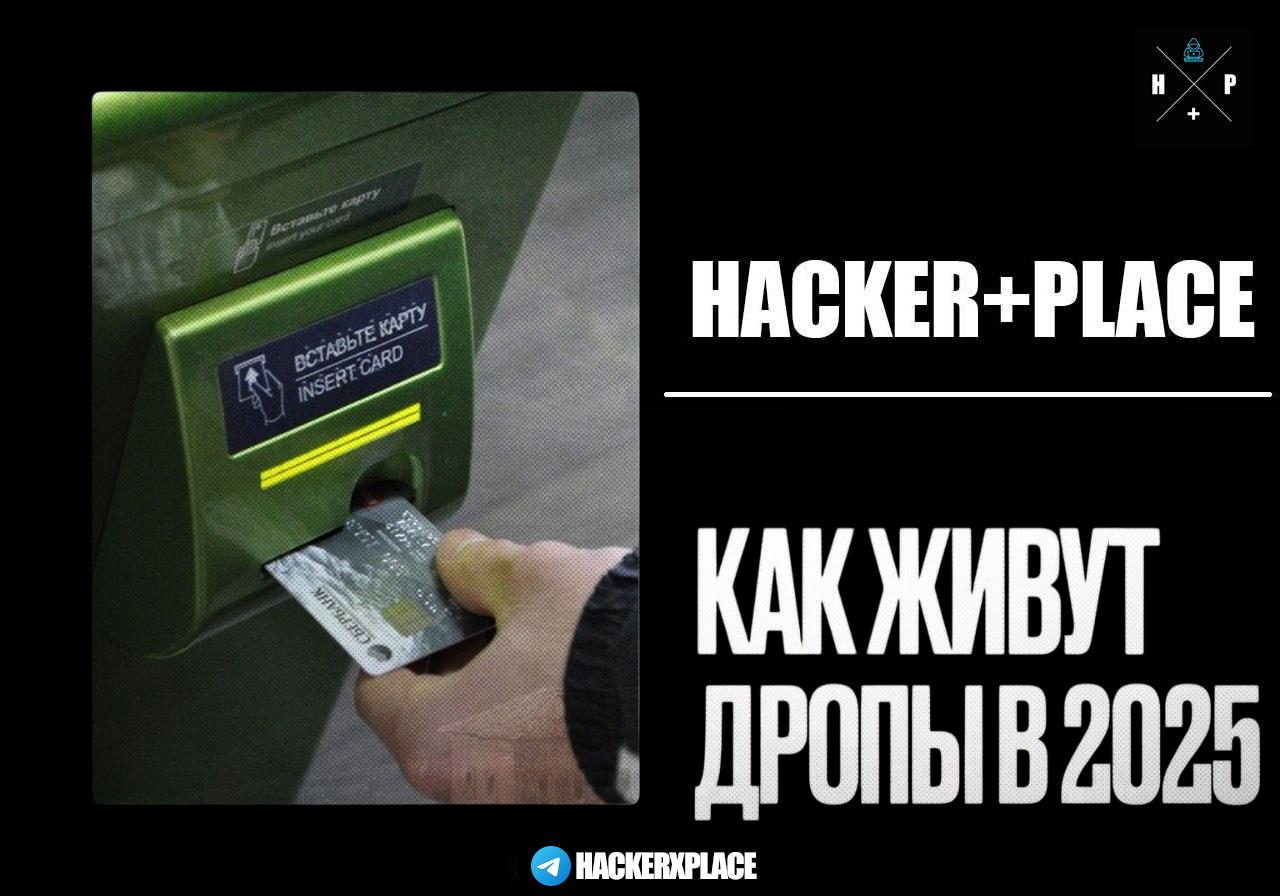 photo_2025-11-26 12.36.49.jpeg