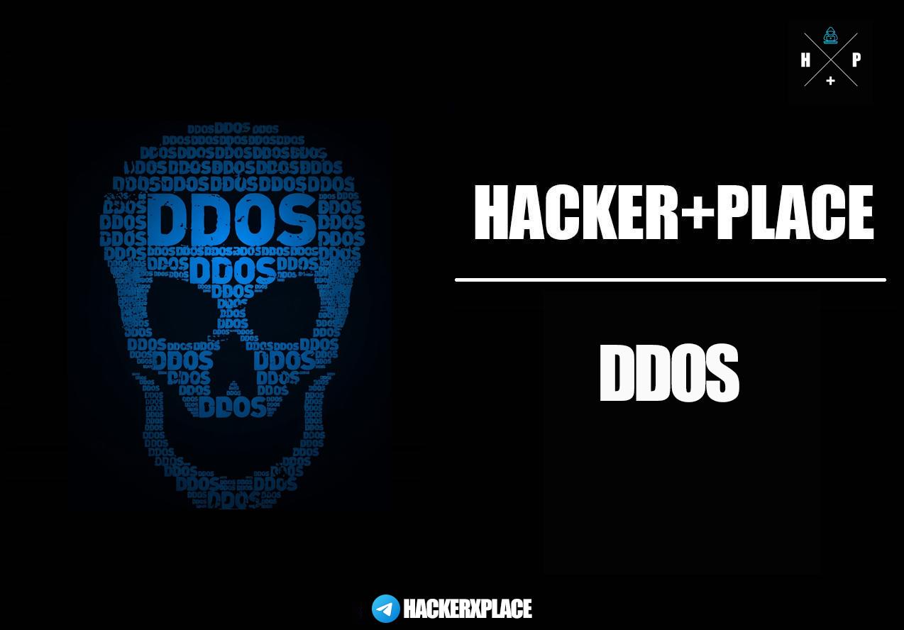 photo_2026-03-25 12.48.26.jpeg